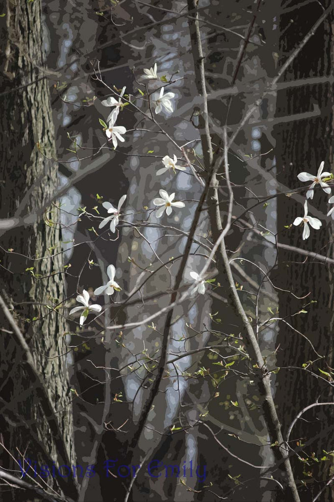Springtime Woodland Jasmine