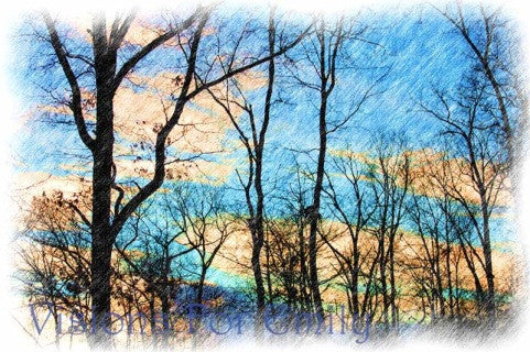 Late Fall Pennsylvania Sky in Pencil