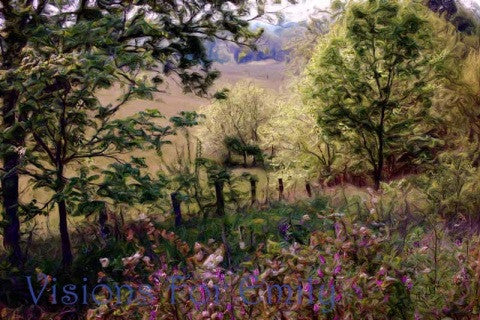 Springtime Valley in Kentucky at Twilight