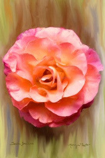 New Hampshire Rose in Oil