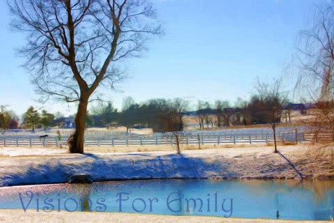 Kentucky Horse Park in January