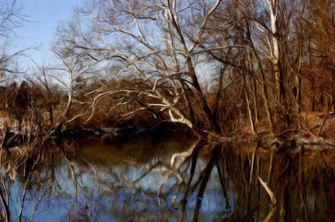 Winter at Elkhorn Creek