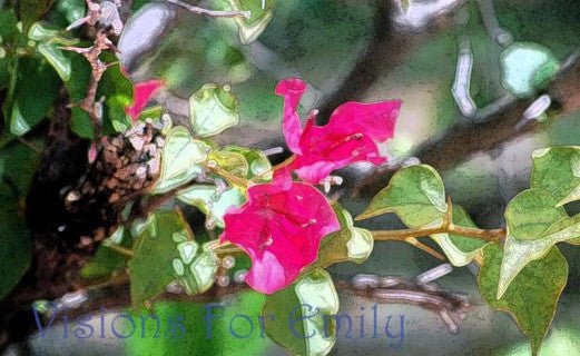 Bougainvillea Flame in ink