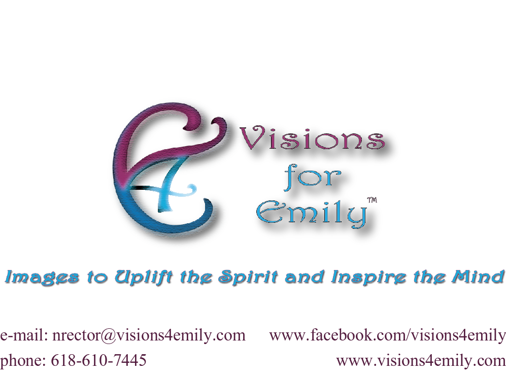 Visions For Emily